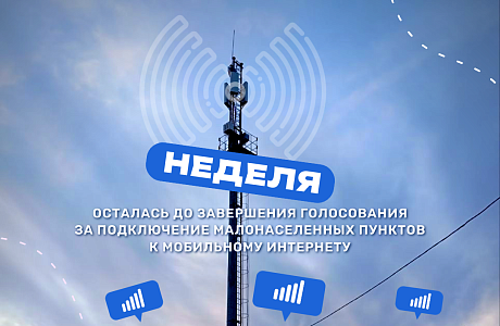Осталась неделя до завершения народного голосования за подключение мобильного интернета в деревнях и сёлах Пензенской области